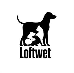 Loftwet przychodnia weterynaryjna