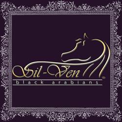 Sil-Ven Black Arabian