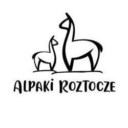Alpaki Roztocze