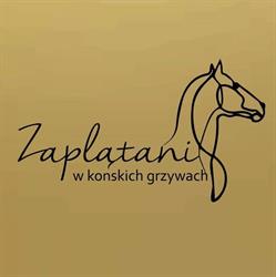 Zaplątani w Końskich Grzywach