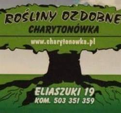 Charytonówka