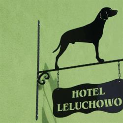 Leluchowo - Hotel dla psów