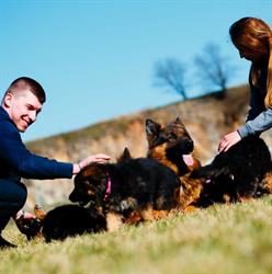 Hodowla Owczarków Niemieckich Długowłosych Hond-Horand