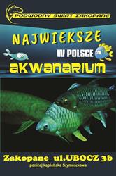 Podwodny Świat