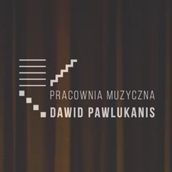 PERKA - Dawid Pawlukanis Pracownia Muzyczna