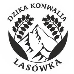 Dzika Konwalia - Przytulne domki blisko stoków Noclegi w górach - Lasówka Zieleniec