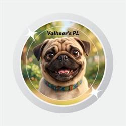Vollmer's