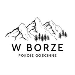 Pokoje Pensjonat ,,W Borze'' Czarna Góra