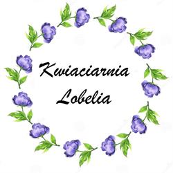 Kwiaciarnia Lobelia