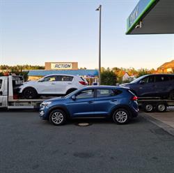 Cardan Auto