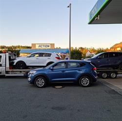 Cardan Auto