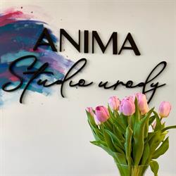 ANIMA Studio Urody
