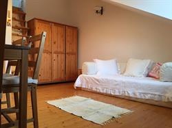 Studio z widokiem na Palenice