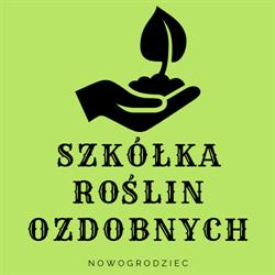 Szkółka roślin ozdobnych Nowogrodziec