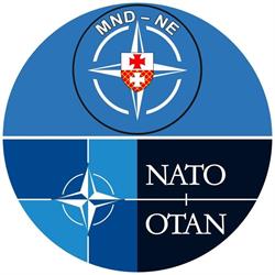 Multinational Division North East