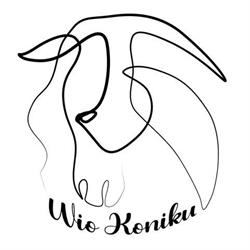 Wio Koniku