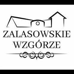 Zalasowskie Wzgórze