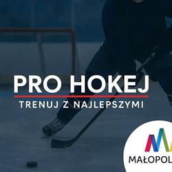 Stowarzyszenie Zawodników Hokeja na Lodzie