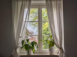 Green Courtyard Apartment