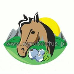 Agro Beatus Agroturystyka Konna