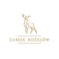 Zamek Bożejów