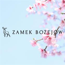 Zamek Bożejów