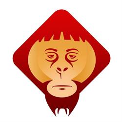 PONGO