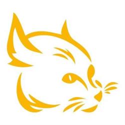Wildcat School