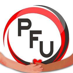 PFU Pośrednictwo Finansowo Ubezpieczeniowe