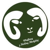 Hodowla i sprzedaż Muflonów