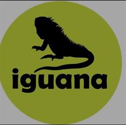 Przychodnia weterynaryjna Iguana Siechnice