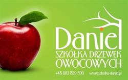 Szkółka Drzewek Owocowych DANIEL, Joanna Babka