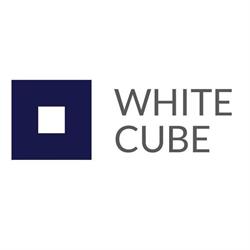 White-cube lokale do wynajęcia