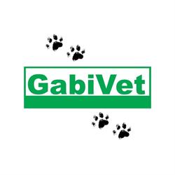 GabiVet