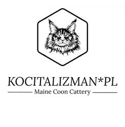 KociTalizman*PL