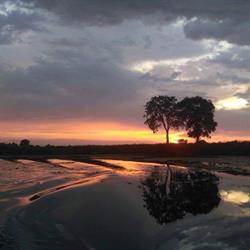 "Nad Królewiecką"