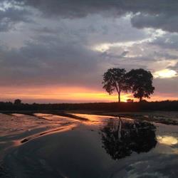 "Nad Królewiecką"