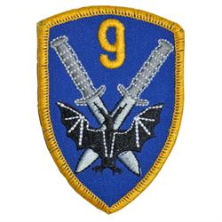 9 Warmiński Pułk Rozpoznawczy