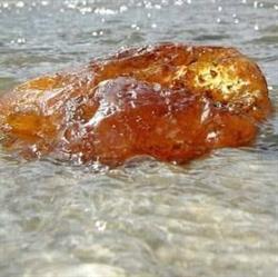 Bursztynek