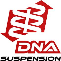 DNA suspension