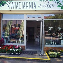 Kwiaciarnia u Ani