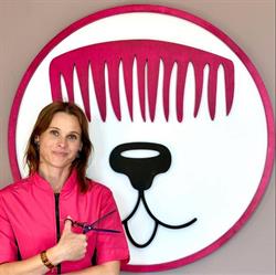 Psi Salon Czersk