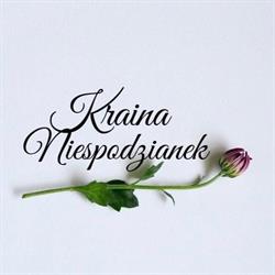 Kraina Niespodzianek