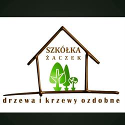 Szkółka drzew i krzewów ozdobnych Żaczek