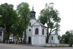Parafia Nawiedzenia NMP w Domanicach