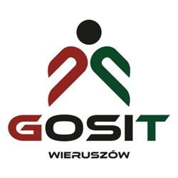 GMINNY OŚRODEK SPORTU I TURYSTYKI W WIERUSZOWIE