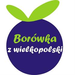 Borówki z wielkopolski - Plantacja borówki amerykańskiej