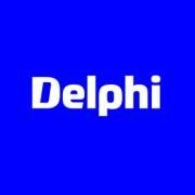 DELPHI POLAND S A ODDZIAŁ BŁONIE