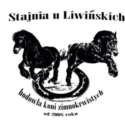Stajnia u Liwińskich
