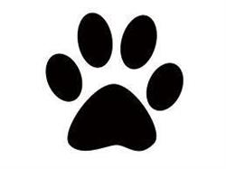 Doglandia